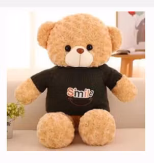 1080P trådlösa gosedjur WiFi IP Dold kamera,128GB, 2000mAh