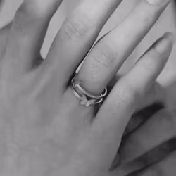 Ring fjäril