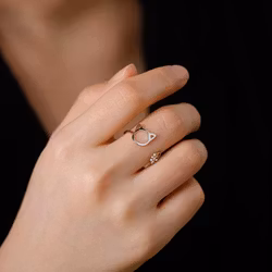Ring Katt
