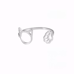 Ring Katt