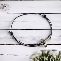 Fotlänk Lilla slädan