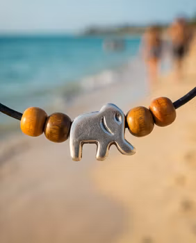 Fotlänk Elefant