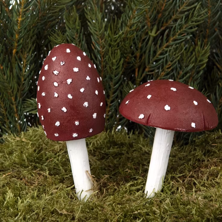 Flugsvamp Mix Poly stora 2pk