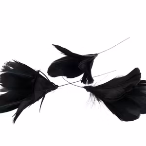 Fjäder Trådad Blom Svart