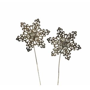 Snöstjärna/stick champagne