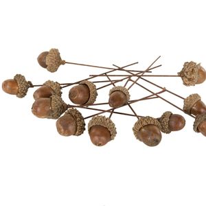 Ekollon/Tråd Natur 5 st