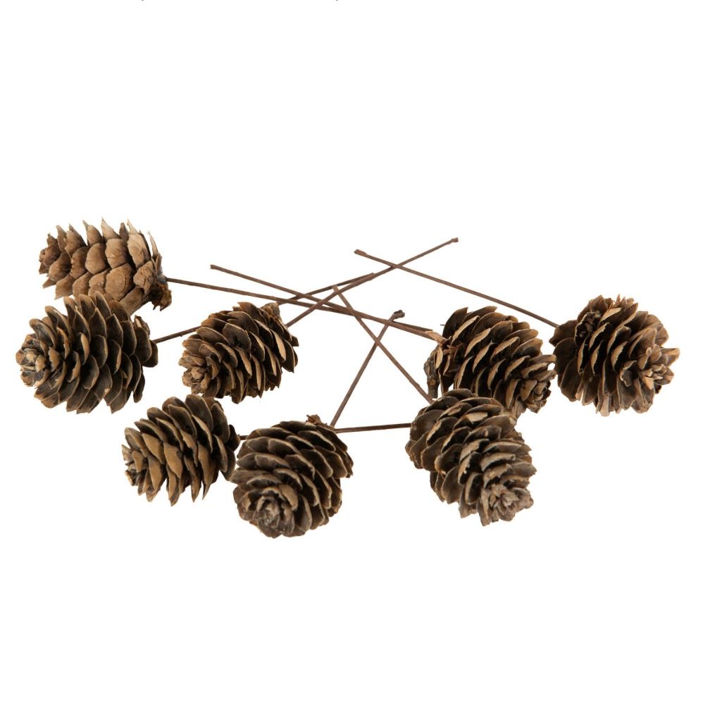 Larixkotte/Tråd/Natur 5st