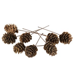 Larixkotte/Tråd/Natur 5st