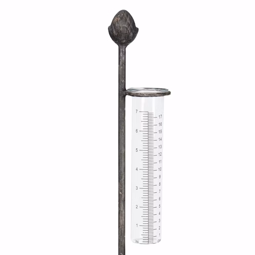 Regnmätare Kronärtskocka Metall