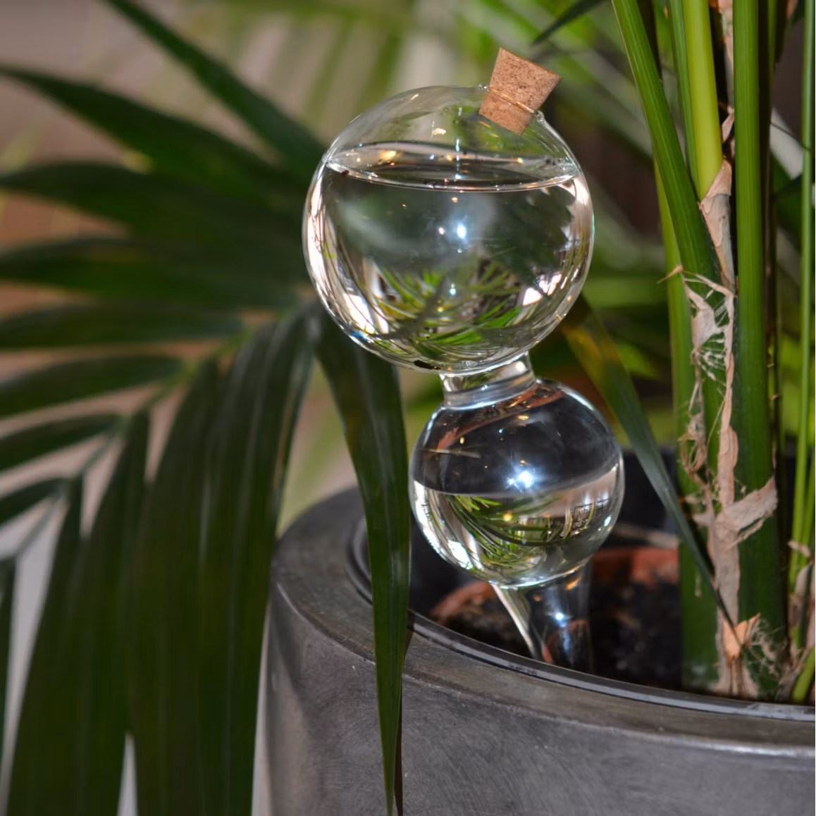 Bevattningsglas Bubbla