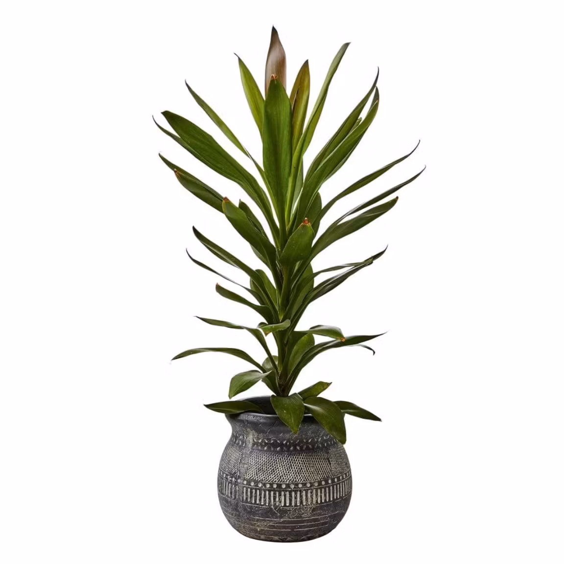 Camille Kruka S Svart/Beige