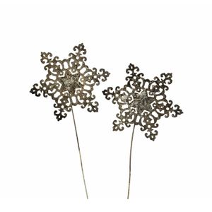 Snöstjärna Stick Champagne