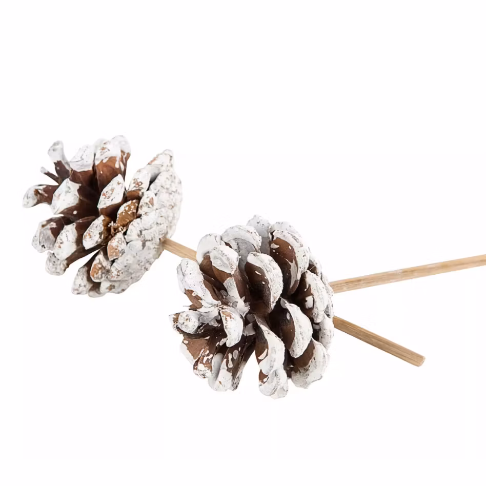 Kotte Stick Vit Topp 3st 35%
