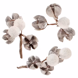 Dekoration Vit bär på kvist 3st