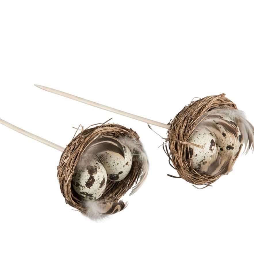 Fågelbo Vaktelägg Stick