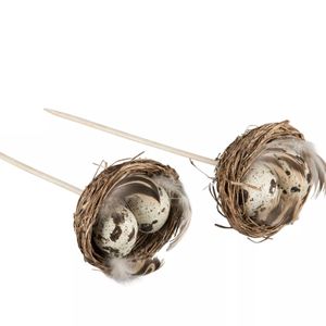 Fågelbo Vaktelägg Stick