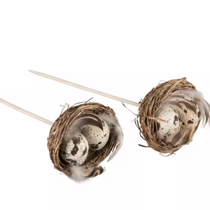 Fågelbo Vaktelägg Stick