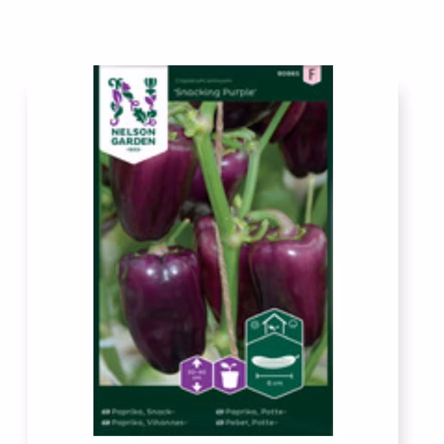 Paprika Snack Purple Nelson Garden