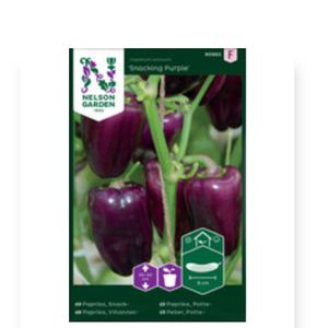 Paprika Snack Purple Nelson Garden