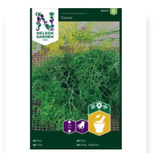 Dill Vanlig Como Nelson Garden