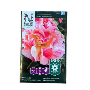 Sömntuta Rosa Romatica