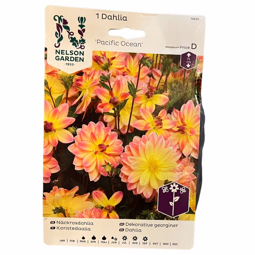 Dahlia Hög Pacific Ocean