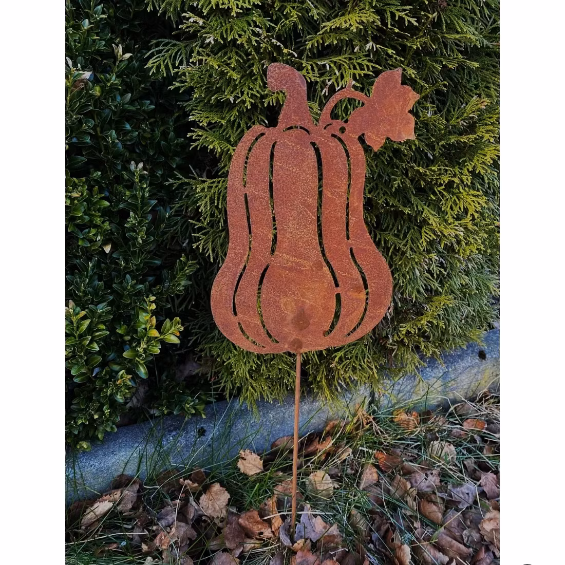 Pumpa Avlång
