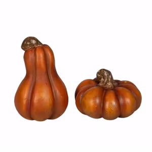 Pumpa Mini Orange Mix Poly 2st