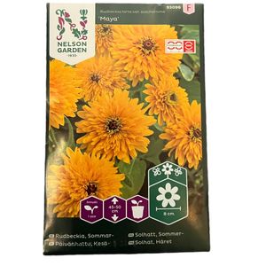 Rudbeckia Maya