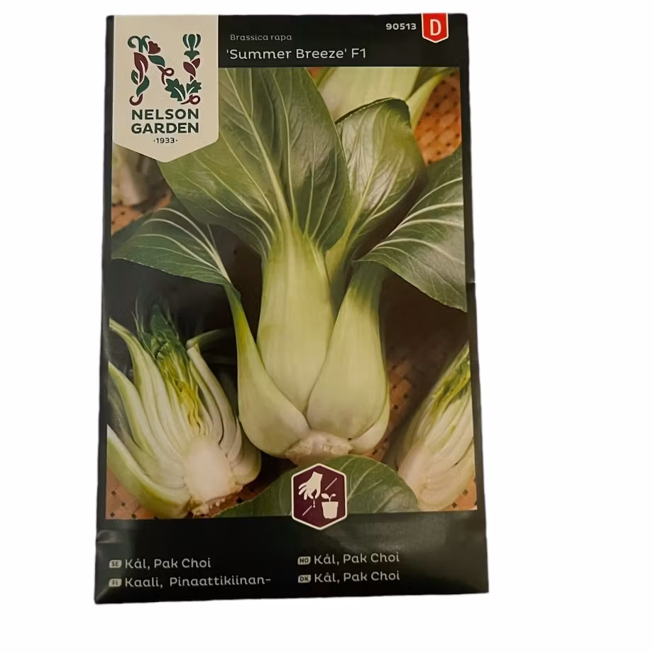 Pak Choi Kål Summer Breeze F1