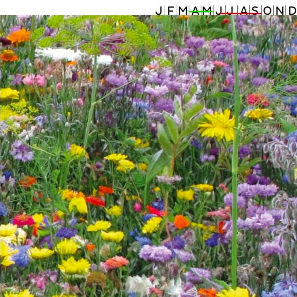 Nectar mix lyx