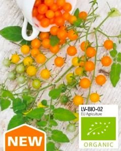 Tomat Hög Golden Currant Organic