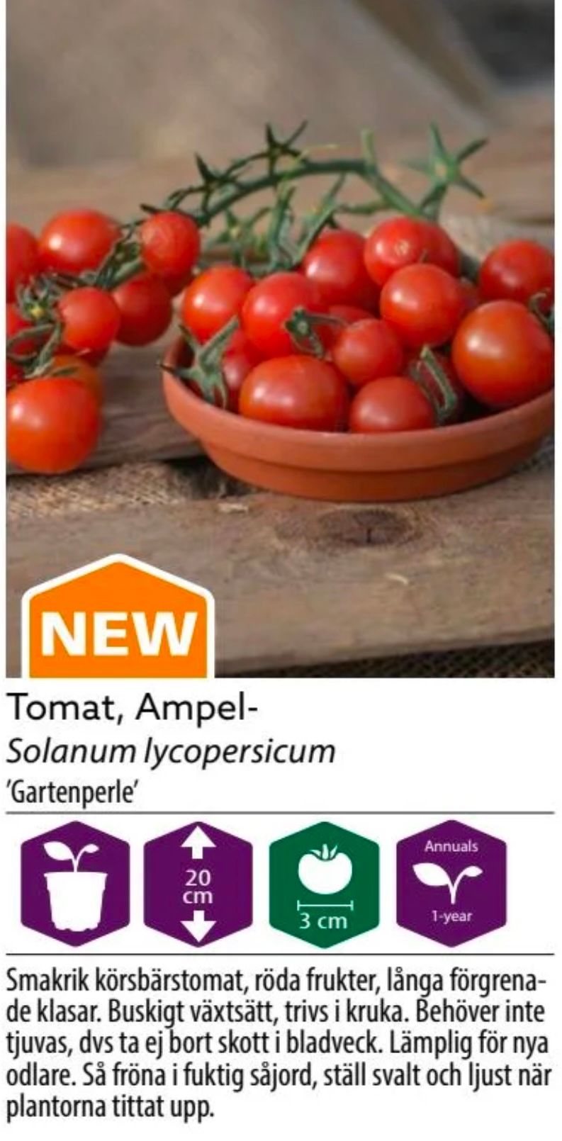 Tomat Ampel Gartenperle