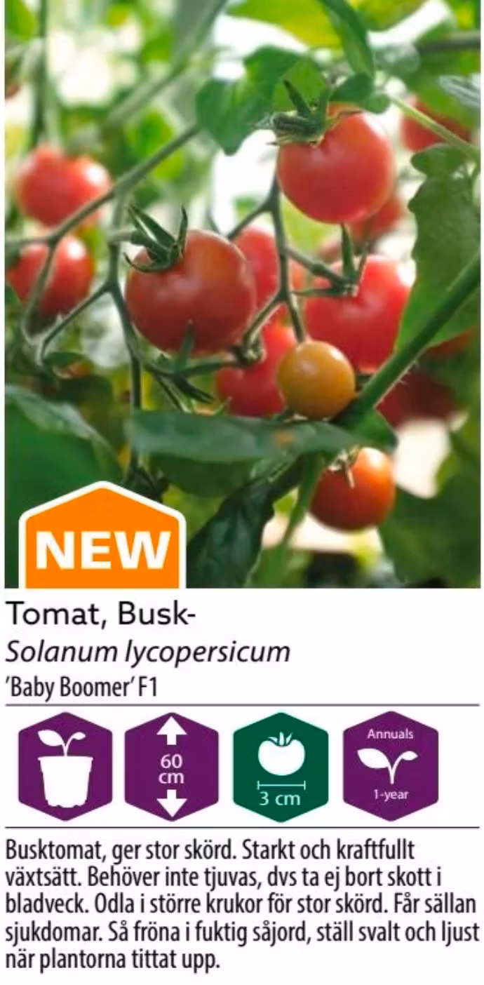 Tomat Busk Baby Boomer