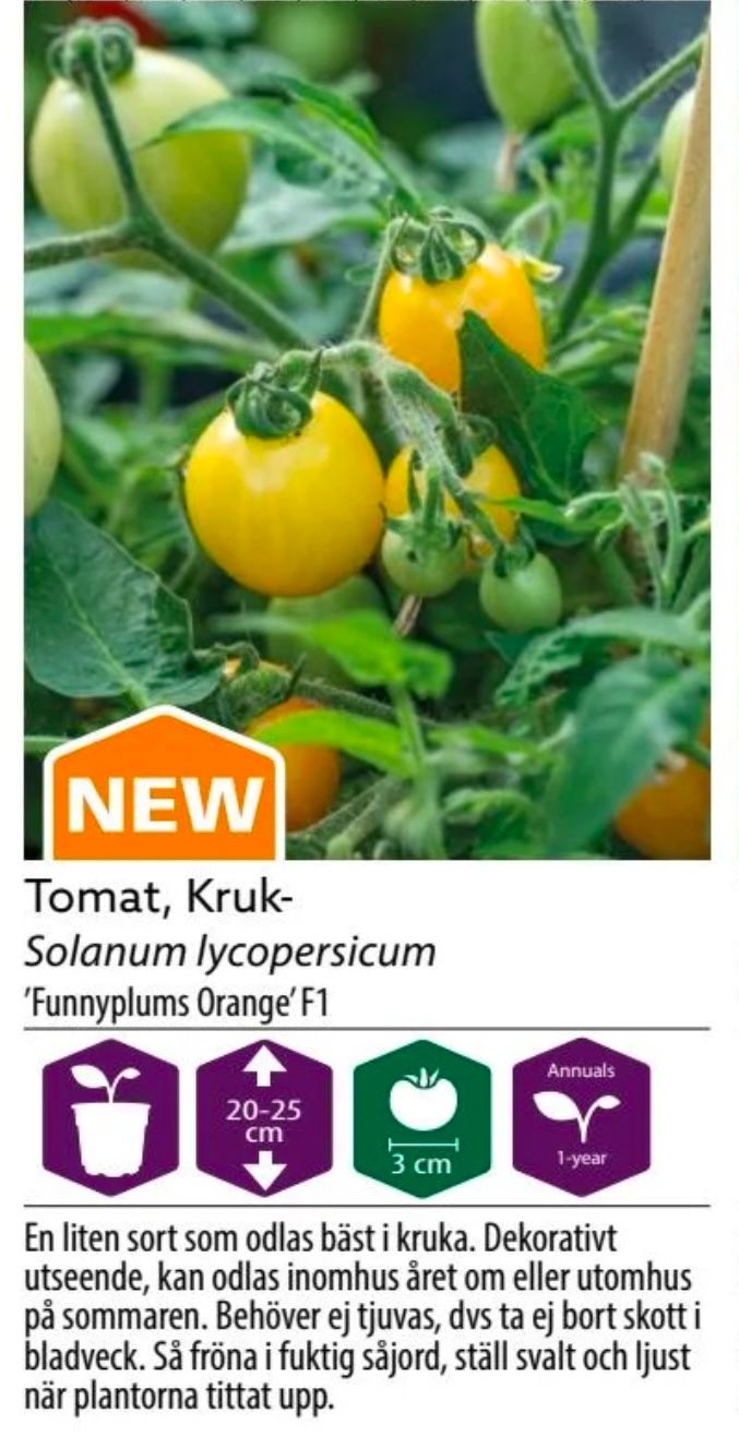 Tomat Kruka Funnyplums Orange F1