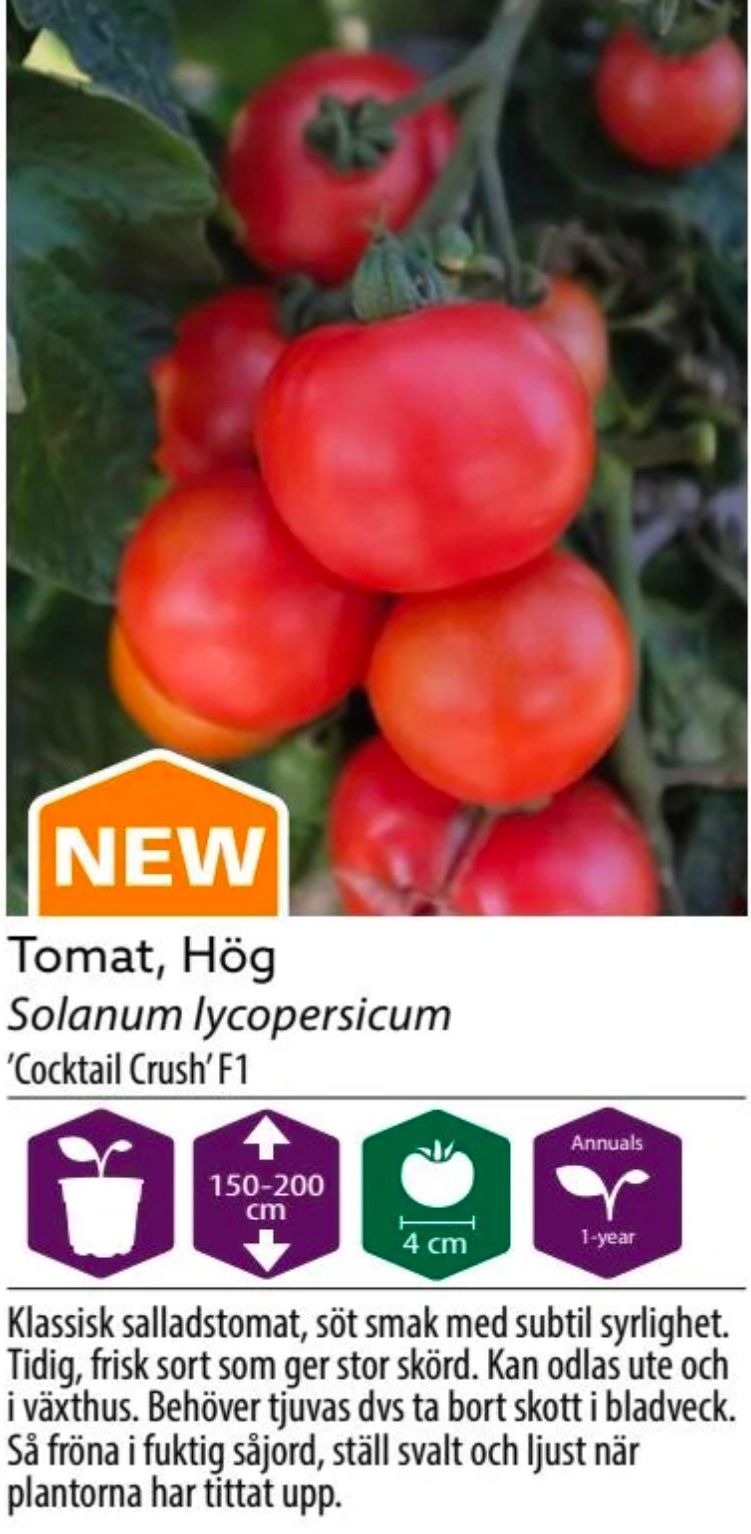 Tomat Hög Coctail Crush F1