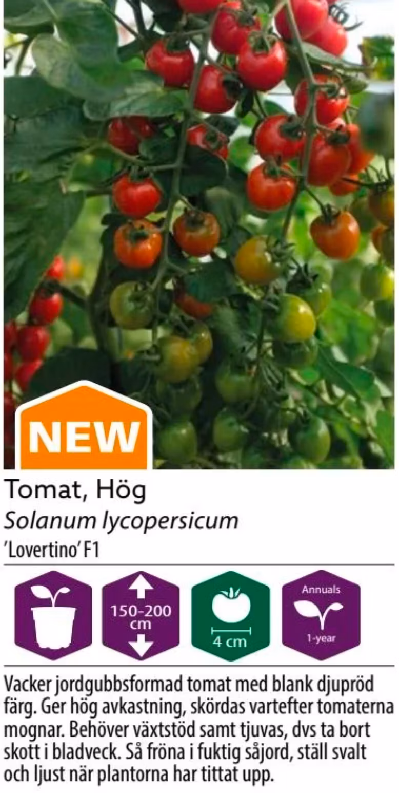 Tomat Hög Lovertino F1