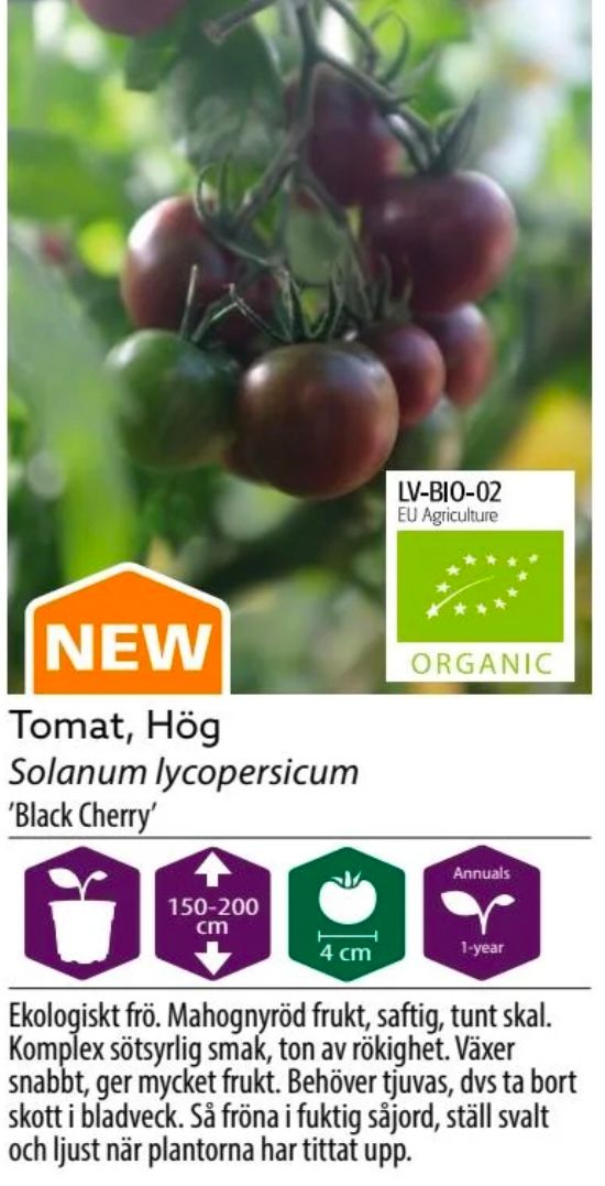 Tomat Hög Black Cherry Organic