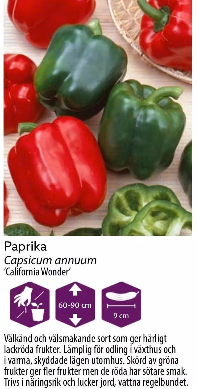 Paprika Calefornia Wonder