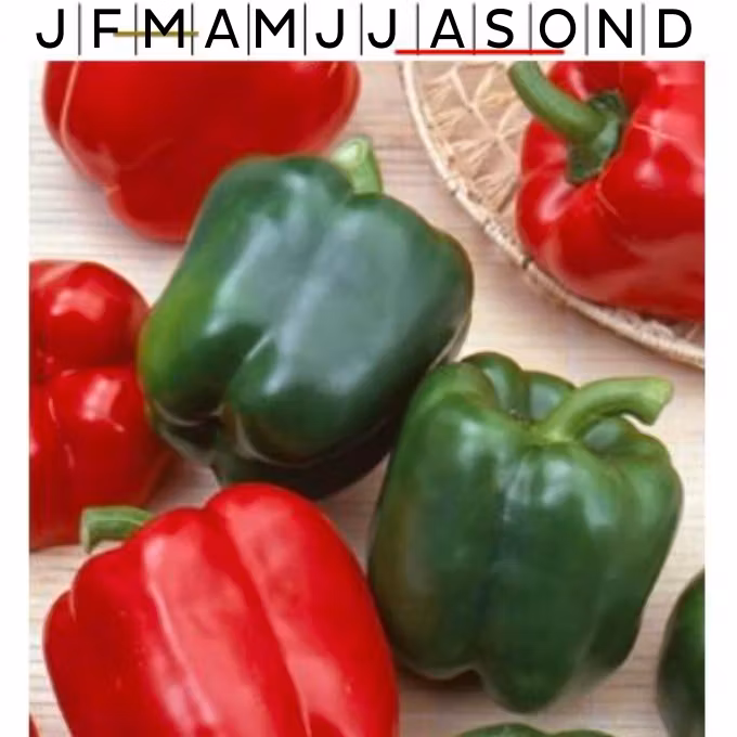 Paprika Calefornia Wonder