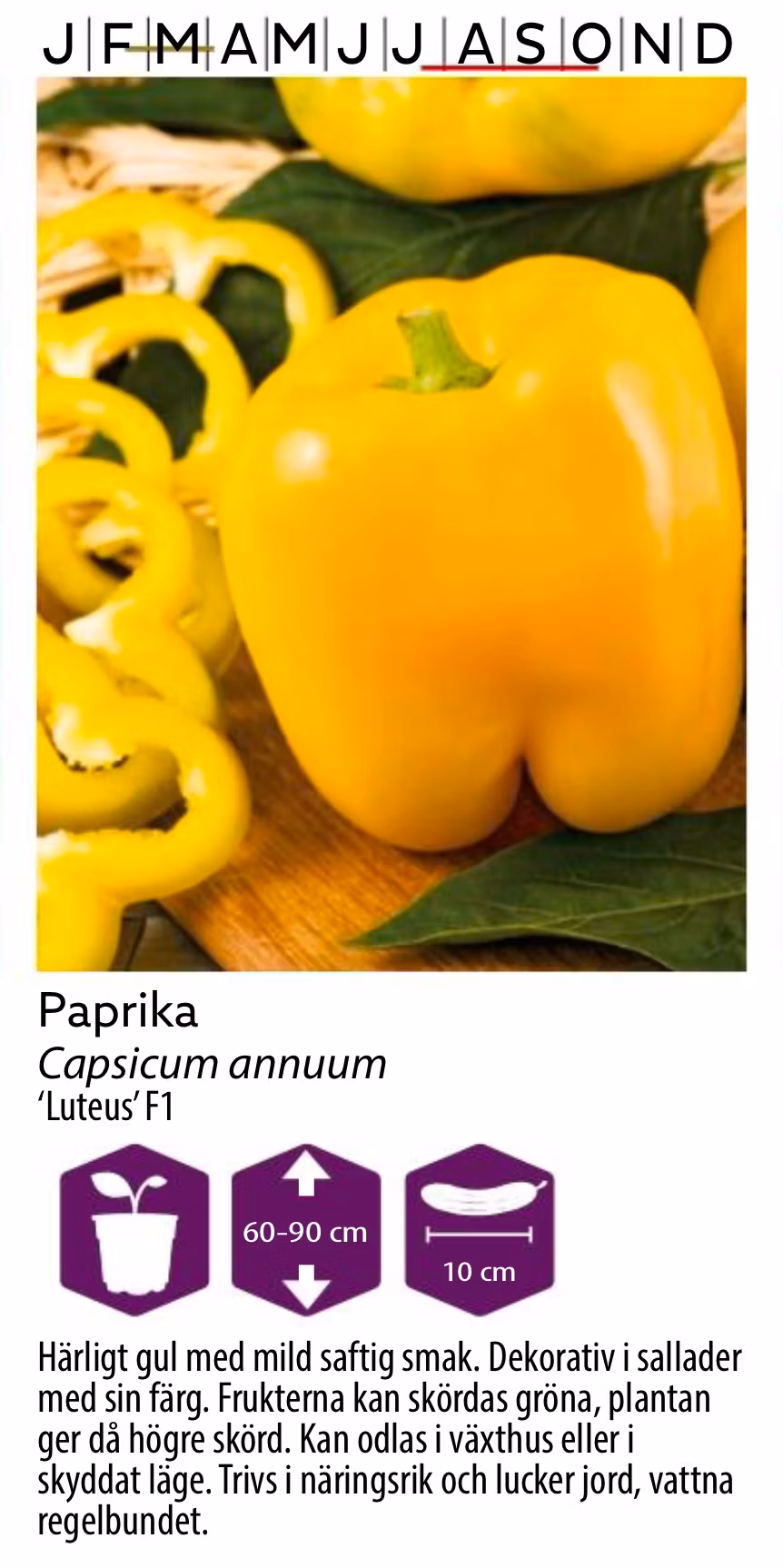 Paprika Luteus