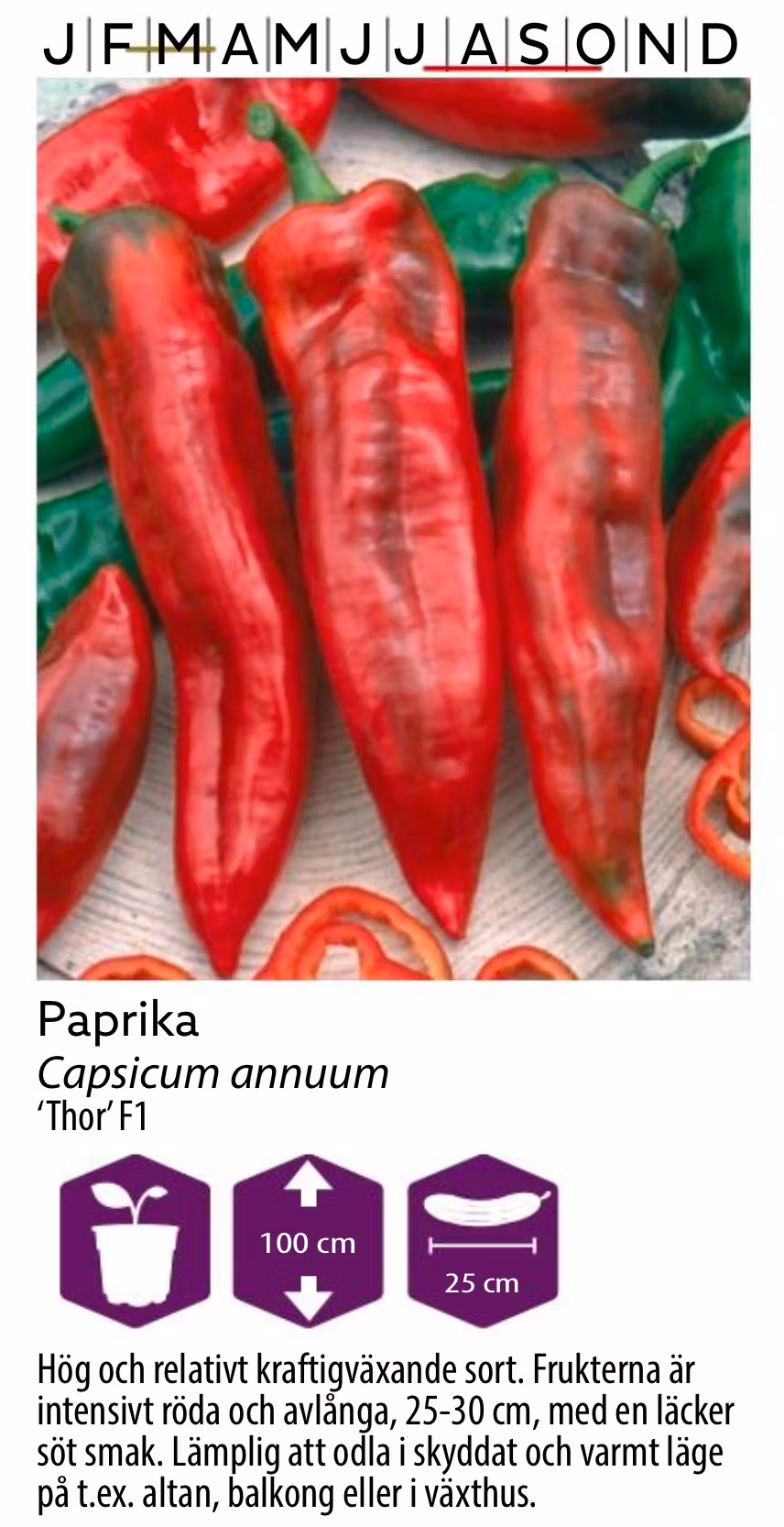 Paprika Thor