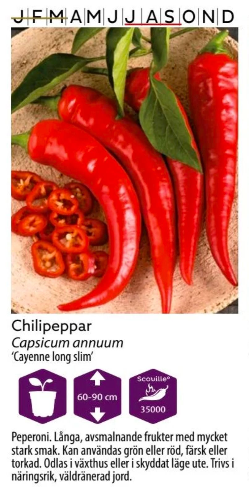 Chilipeppar Cayenne Long Slim