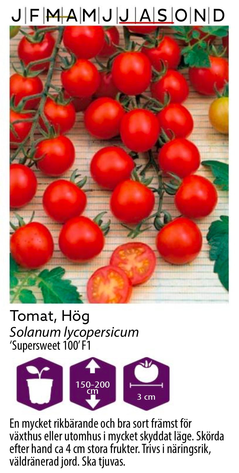 Tomat Hög Supersweet 100