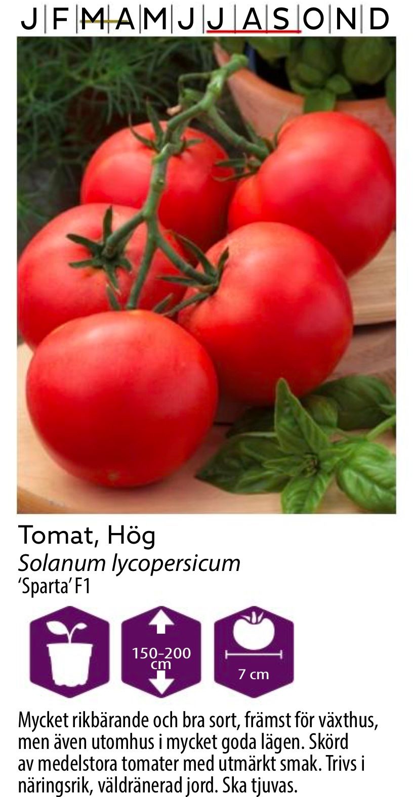 Tomat Hög Sparta