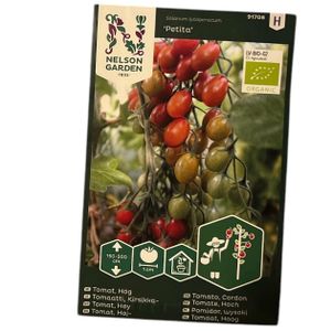 Tomat Hög Petita Organic