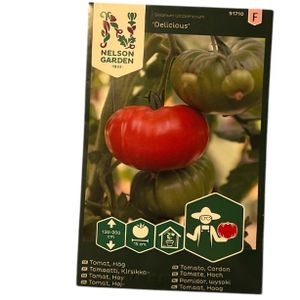 Tomat Hög Delicious XL