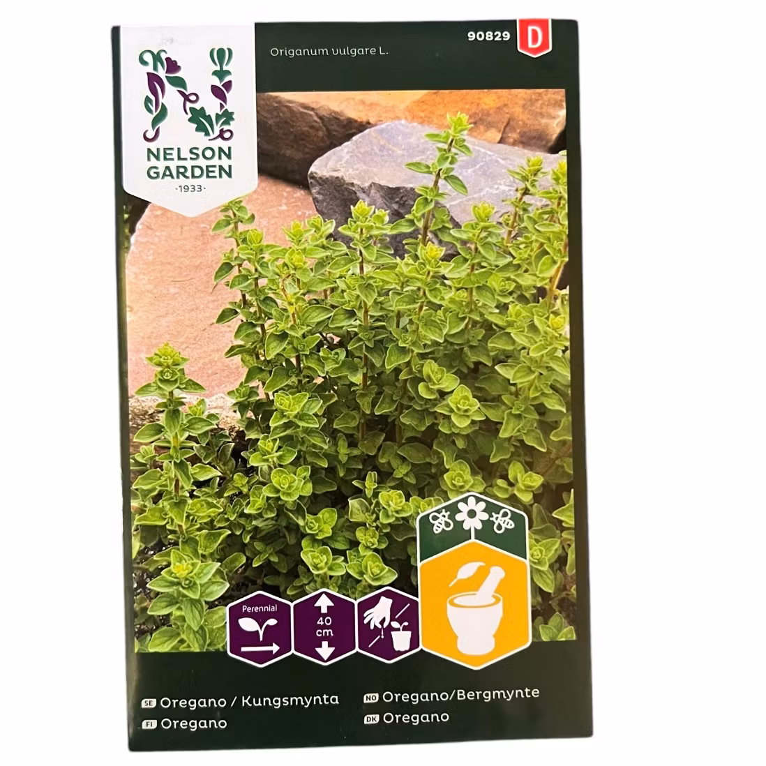 Oregano Kungsmynta