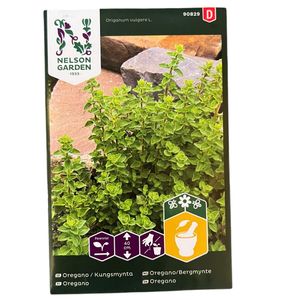 Oregano Kungsmynta