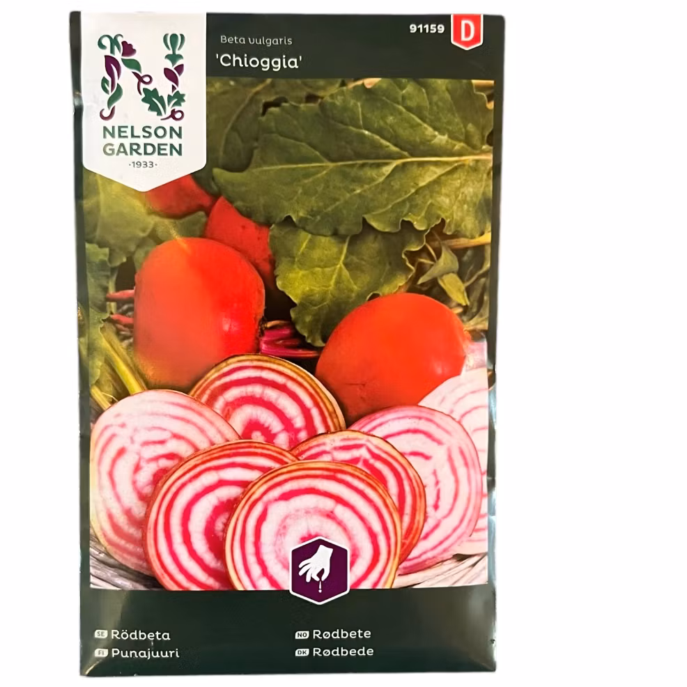 Rödbeta Chioggia Rund